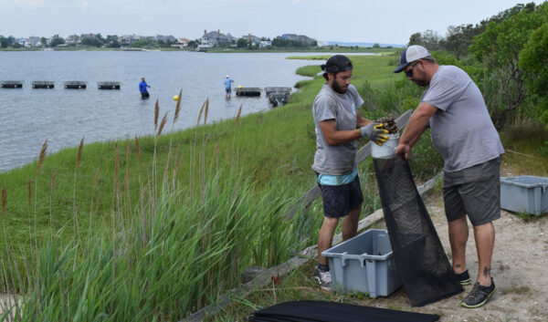 Protect The Long Island Bays - Wastewater Treatment Systems